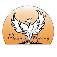 Team Page: Phoenix Rising